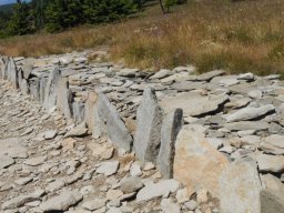 DSCN0478-26-800-600-80