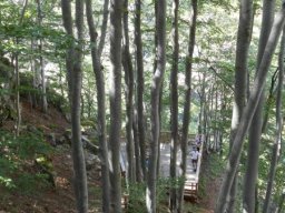 ray_pic_1-36-800-600-80