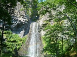 ray_pic_3-38-800-600-80