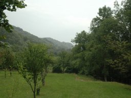 DSC_0008-182-800-600-80