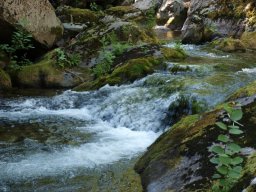 La_Besorgues_4-53-800-600-80