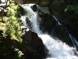 La_Besorgues_7-56-800-600-80