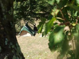 P8155930-60-800-600-80