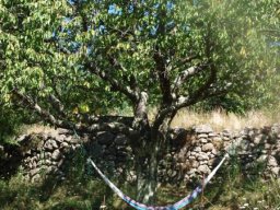 P8155953-65-800-600-80