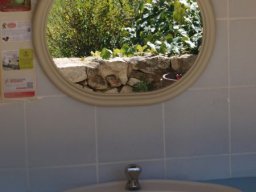 P8155971-68-800-600-80