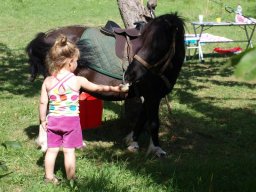 camping_8_ao__t_014-43-800-600-80