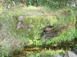 source____500m_du_camping-40-800-600-80