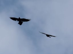 DSC_6159-586-800-600-80