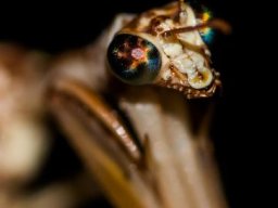 DSC_6225-590-800-600-80