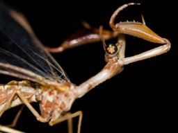 DSC_6236-592-800-600-80