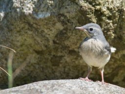 DSC_6324-594-800-600-80