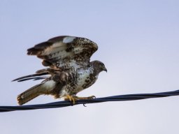 DSC_6382-602-800-600-80