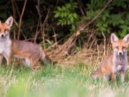 DSC_6391-606-800-600-80