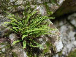 DSC_6019-634-800-600-80