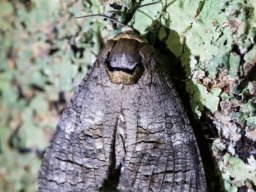 DSC_6070-640-800-600-80