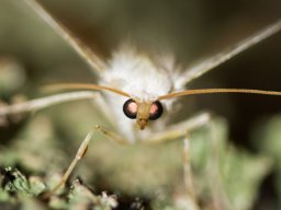 DSC_6080-644-800-600-80