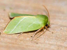 DSC_6179-648-800-600-80