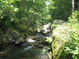 La_Besorgues-122-800-600-80