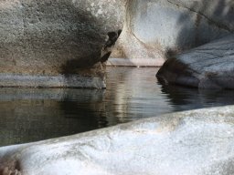 M__me_endroit1-211-800-600-80