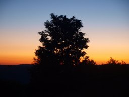 P8115909-219-800-600-80