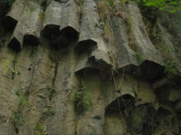 Prismes_basaltiques_sur_la_Besorgues-135-800-600-80