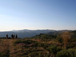 entre_le_cros_du_loup_et_le_rocher_du_Cheylard-115-800-600-80