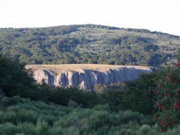 joyce_018-121-800-600-80