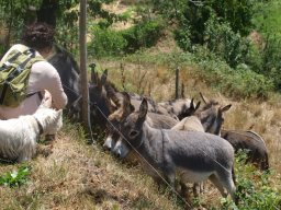 rando_Ste_Marguerite-137-800-600-80