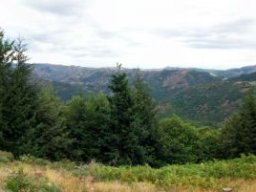 101_0476-148-800-600-80