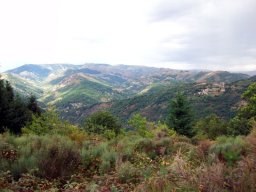 101_0477-149-800-600-80