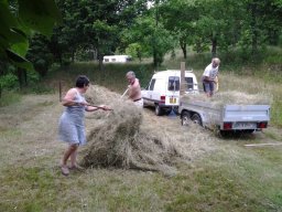 20140612_153621-222-800-600-80