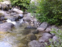 20140613_083631-224-800-600-80