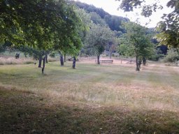 20140616_082705-226-800-600-80