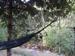 20140616_082808-228-800-600-80