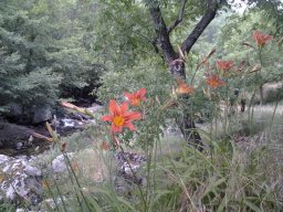 20140617_141615_1_-230-800-600-80