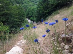 20140617_141920-234-800-600-80