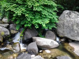 20140617_142324-236-800-600-80