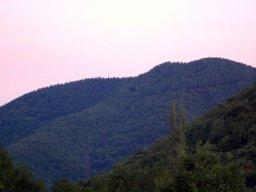 CSC_0213-150-800-600-80