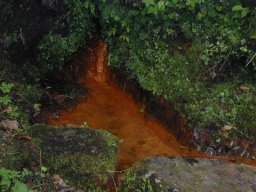 DSCN0001-185-800-600-80