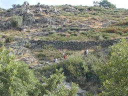 DSCN0001-206-800-600-80