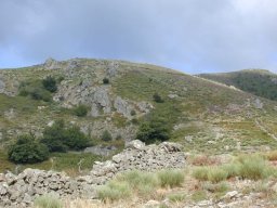 DSCN0005-207-800-600-80