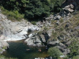 DSCN0011-189-800-600-80