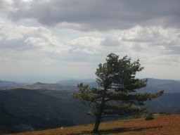 DSCN0012-190-800-600-80