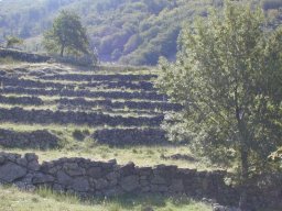 DSCN0014-191-800-600-80