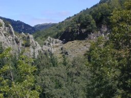 DSCN0015-192-800-600-80