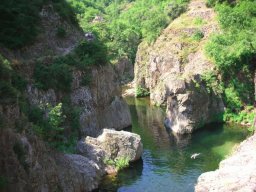 DSCN1444-210-800-600-80