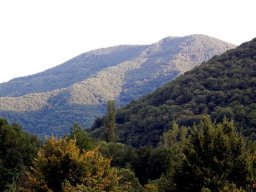 DSC_0098-154-800-600-80