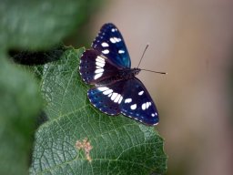 DSC_0138-158-800-600-80