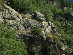 DSC_0153-199-800-600-80