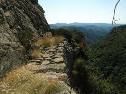 DSC_0158-200-800-600-80